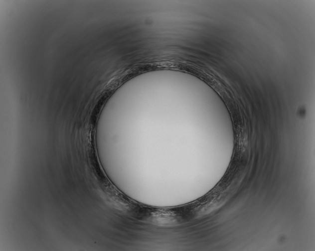 X0000100750603200806190825