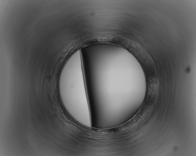 X0000100750604200806190825
