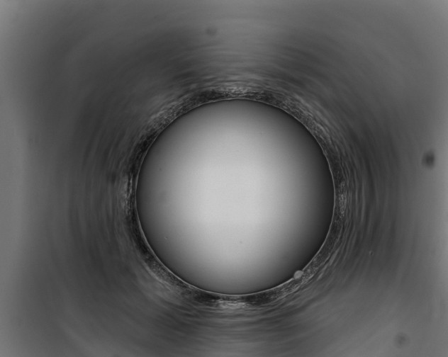 X0000100750605200806190825