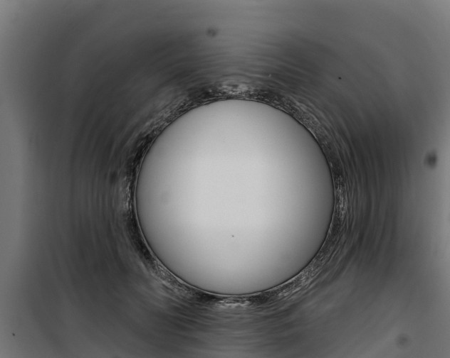 X0000100750606200806190825
