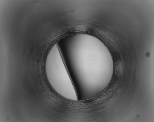 X0000100750608200806190825