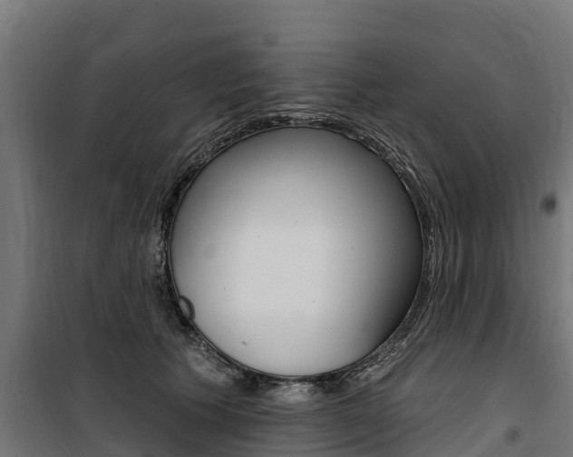 X0000100750609200806190825