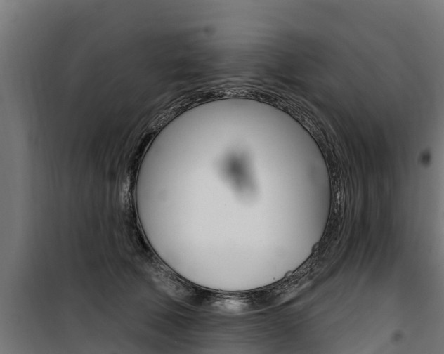 X0000100750610200806190825