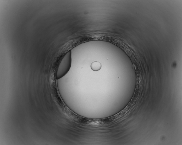 X0000100750611200806190825