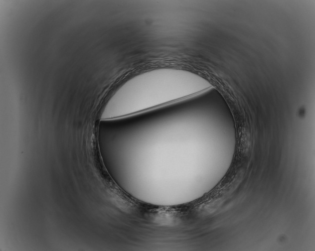 X0000100750612200806190825