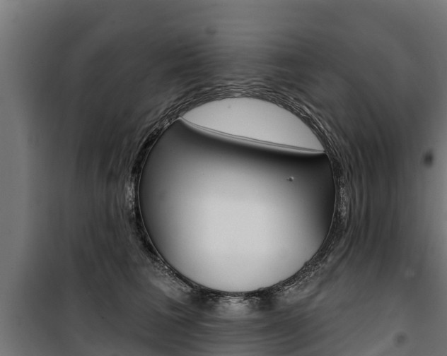 X0000100750613200806190825