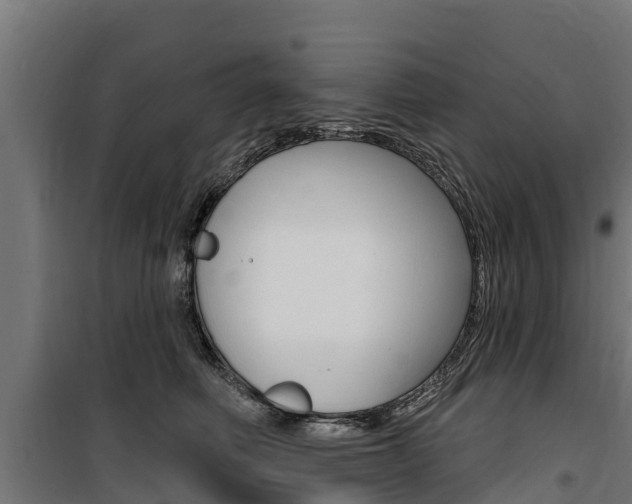 X0000100750614200806190825
