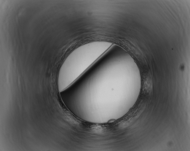 X0000100750616200806190825