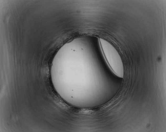 X0000100750617200806190825
