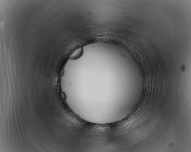 X0000100750619200806190824
