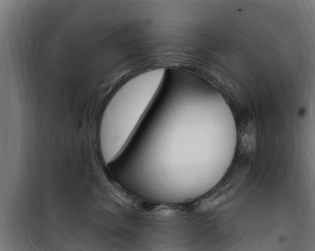 X0000100750620200806190824