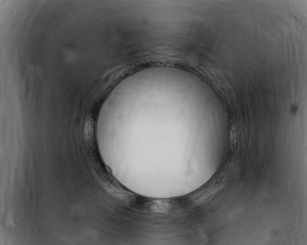 X0000100750623200806190824