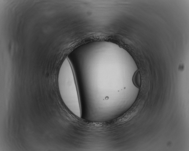 X0000100750624200806190824