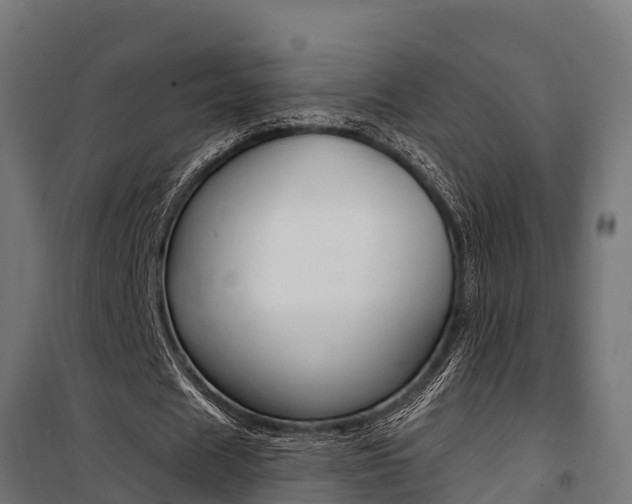 X0000100750625200806190824