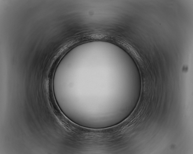 X0000100750626200806190824
