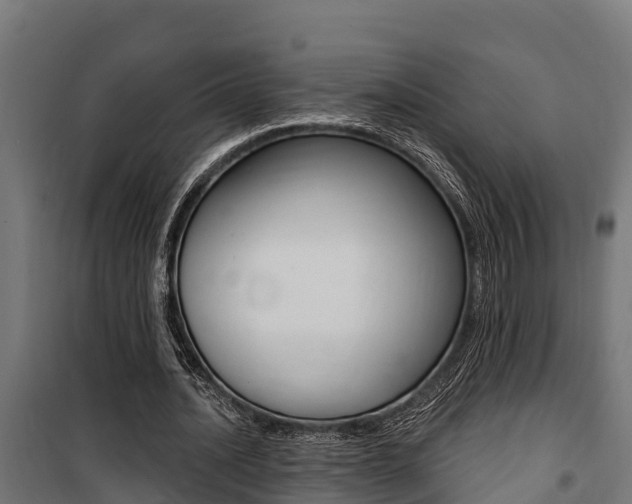 X0000100750628200806190824