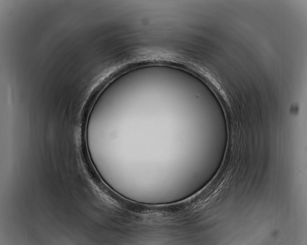 X0000100750629200806190824