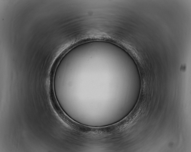 X0000100750630200806190824