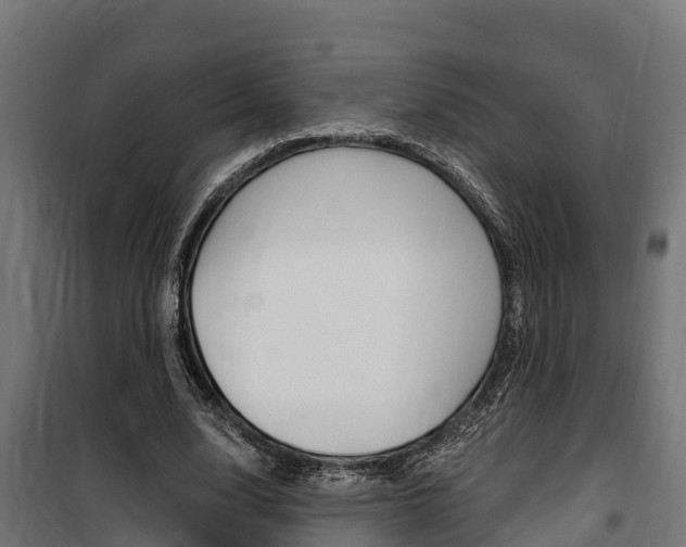 X0000100750632200806190824