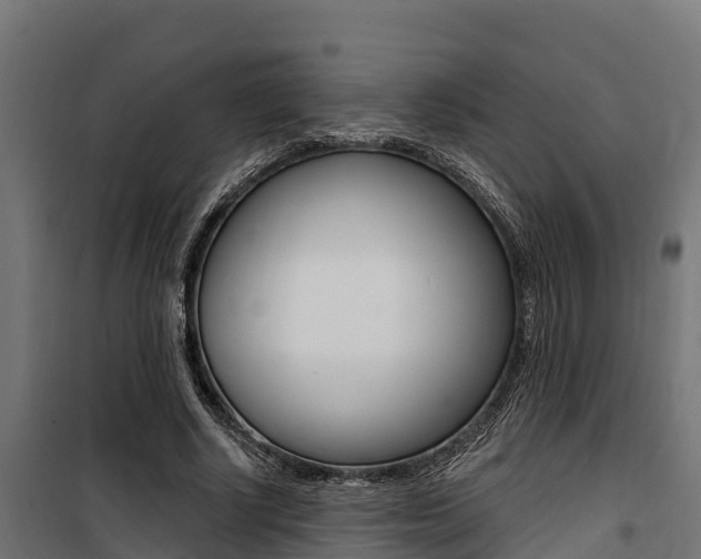 X0000100750634200806190824