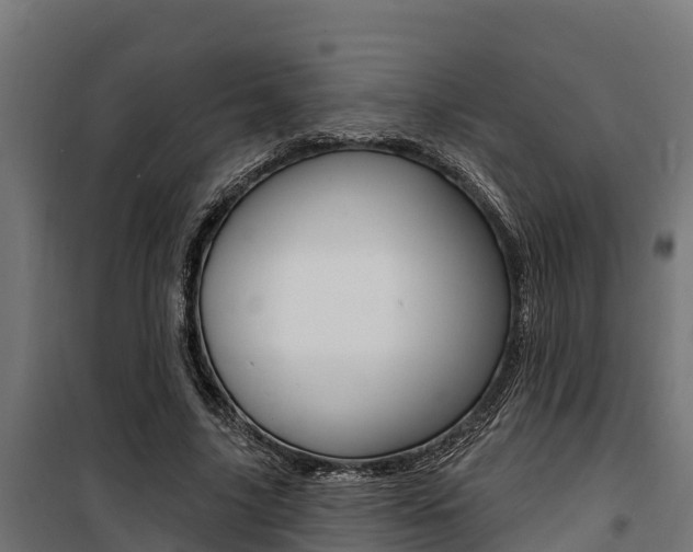 X0000100750635200806190824