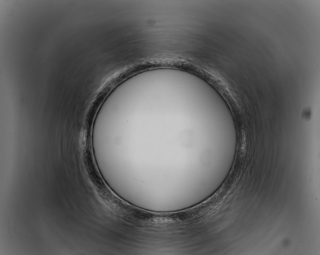 X0000100750636200806190824