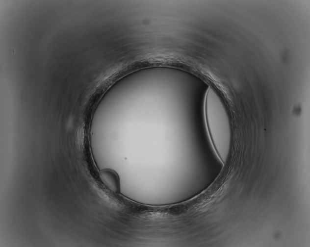 X0000100750637200806190824