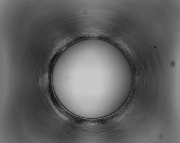 X0000100750638200806190824