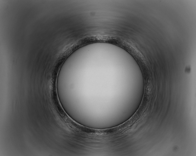 X0000100750639200806190824
