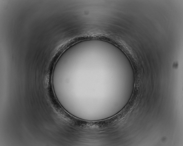 X0000100750640200806190824