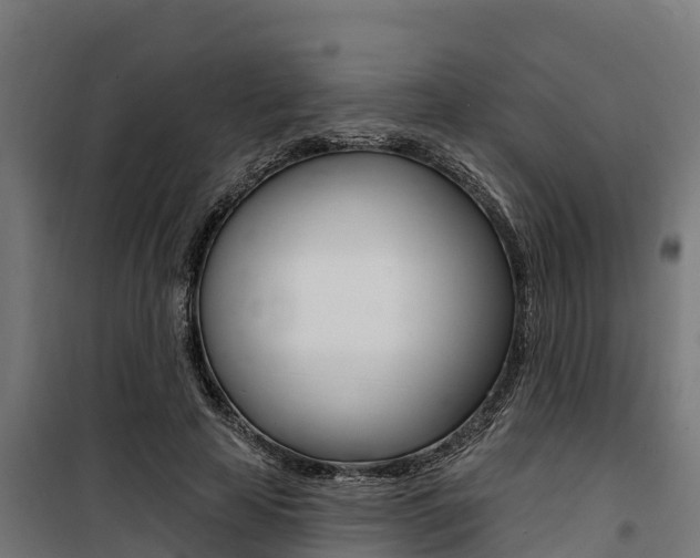 X0000100750641200806190824