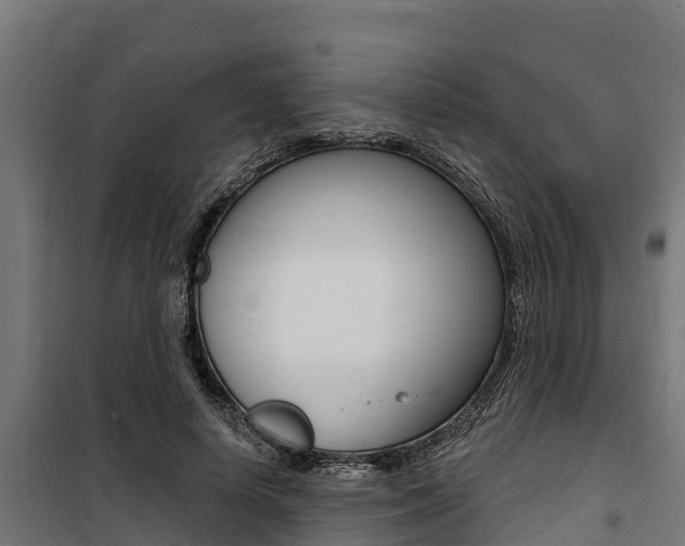 X0000100750642200806190824