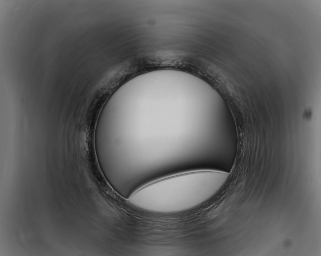X0000100750643200806190824