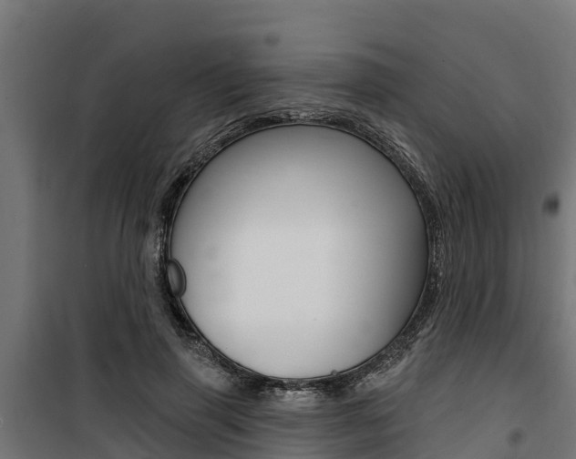 X0000100750645200806190824