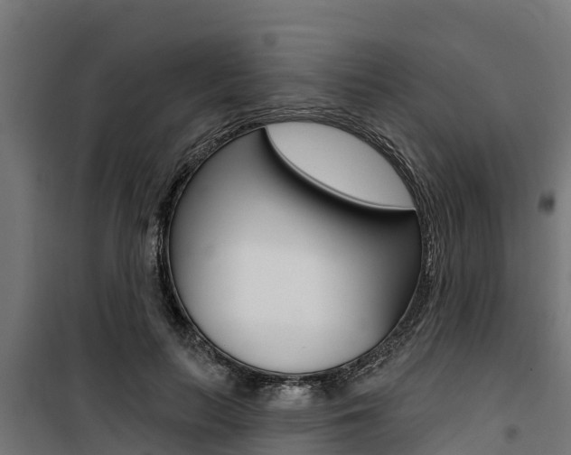X0000100750647200806190824