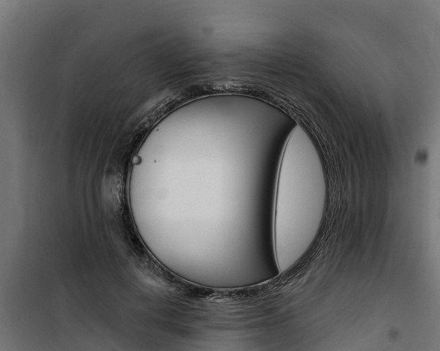 X0000100750648200806190824