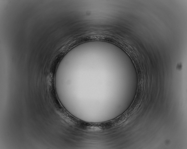 X0000100750649200806190824