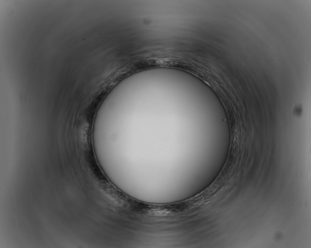 X0000100750650200806190824
