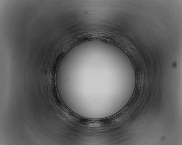 X0000100750653200806190824
