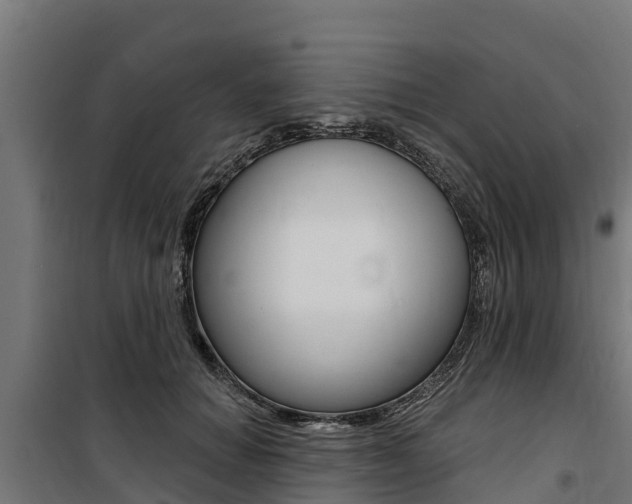 X0000100750654200806190824