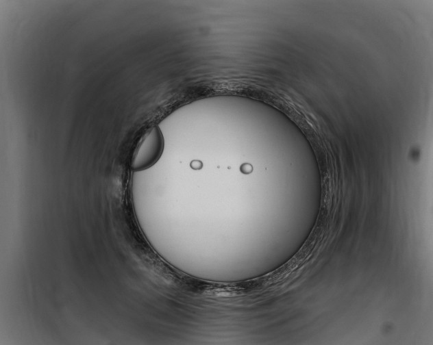 X0000100750655200806190824