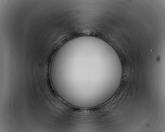 X0000100750656200806190824