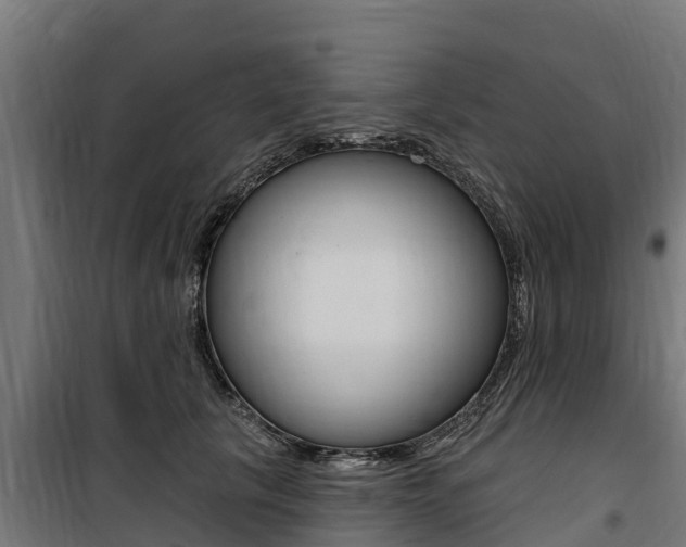X0000100750657200806190824