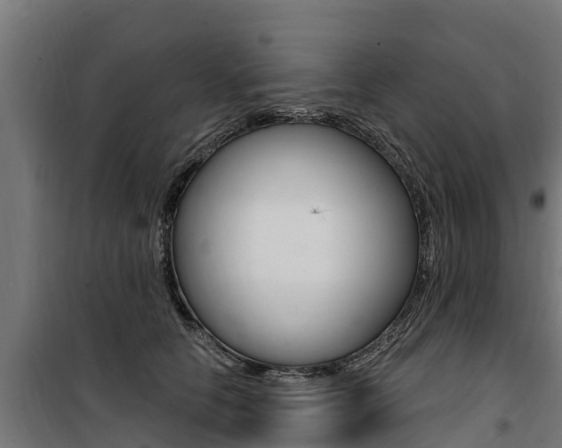 X0000100750658200806190824