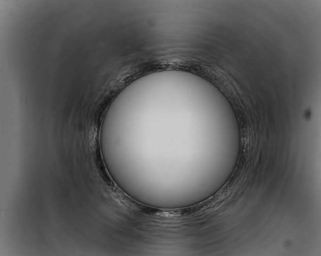 X0000100750660200806190824