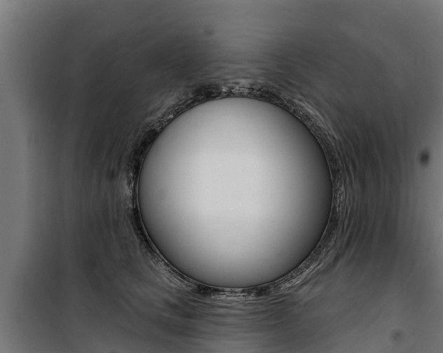 X0000100750661200806190824