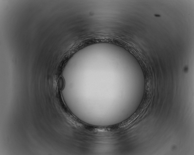X0000100750662200806190824