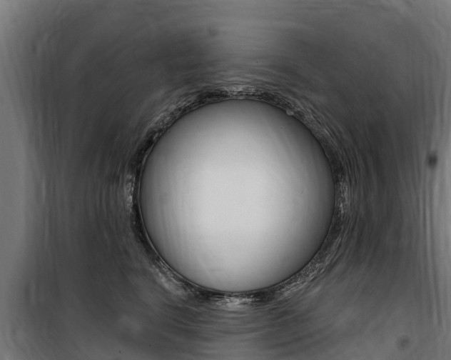 X0000100750664200806190824