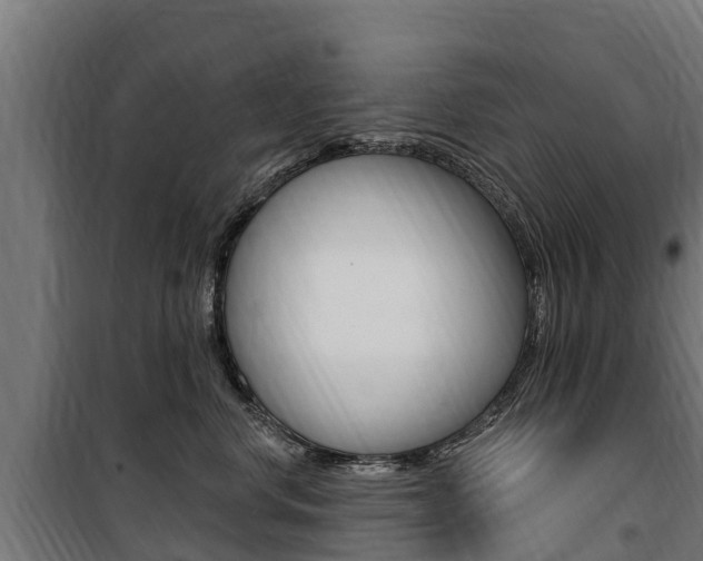 X0000100750668200806190824