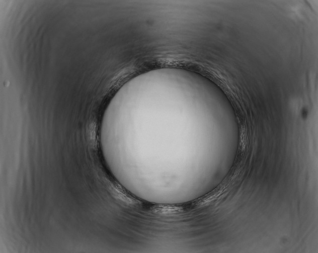 X0000100750670200806190824